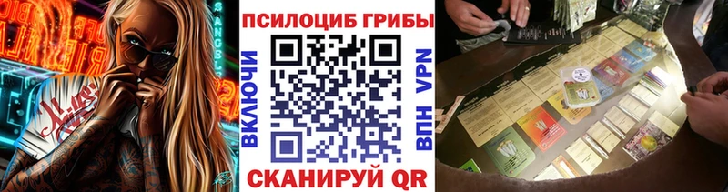сколько стоит Нариманов Псилоцибиновые грибы Cubensis